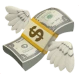 moneyFly